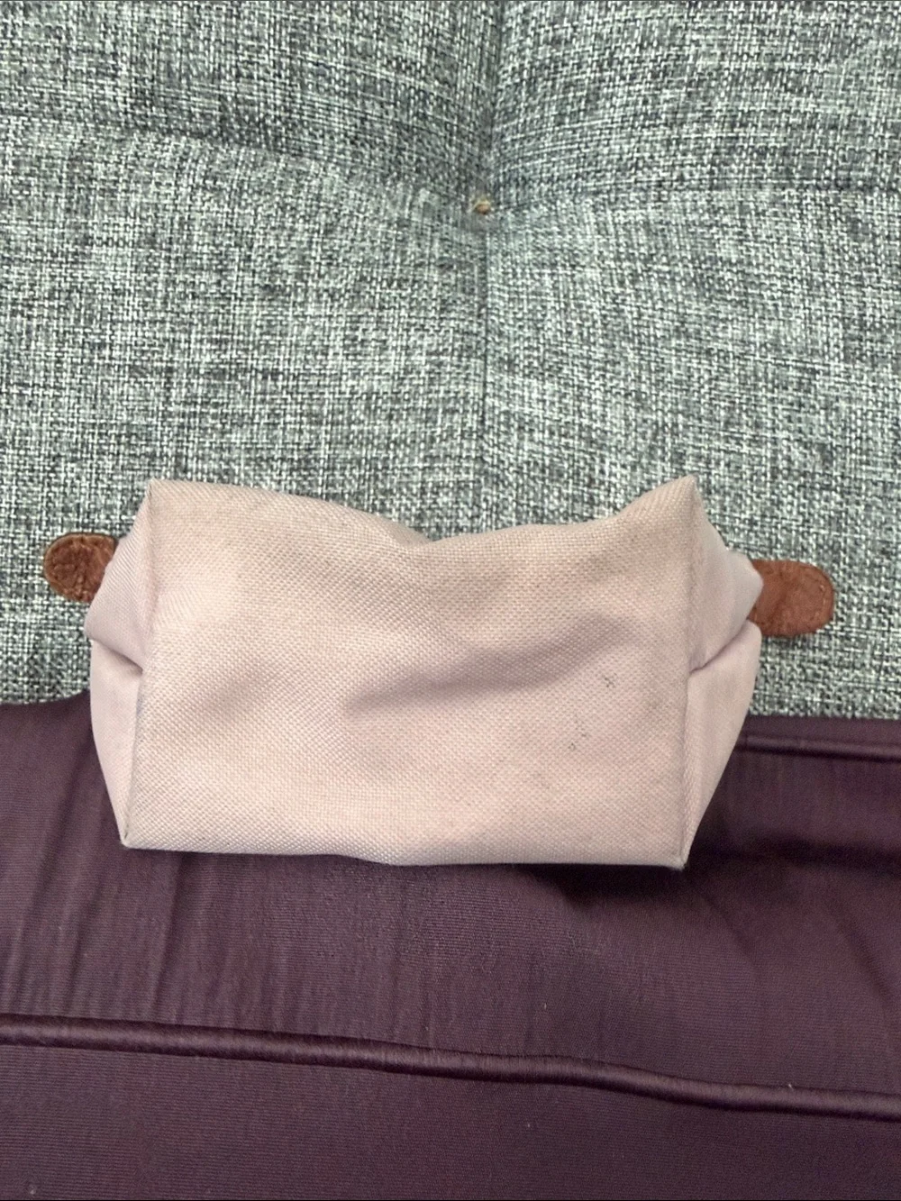 Longchamp Blush Pink Nylon Coin Pouch with Brown Trim